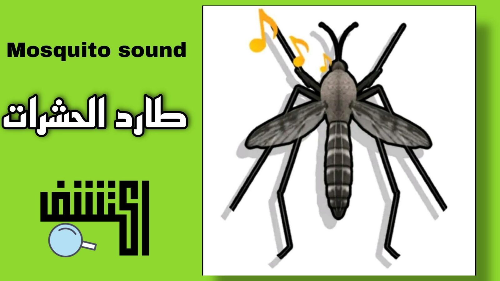 Mosquito sound هوا افضل تطبيق لطرد الحشرات للاندرويد والايفون