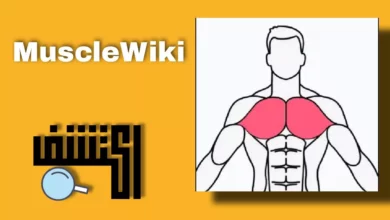 musclewiki optimized