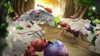 تحميل لعبة مملكة النمل الصغير | The Ants: Underground Kingdom