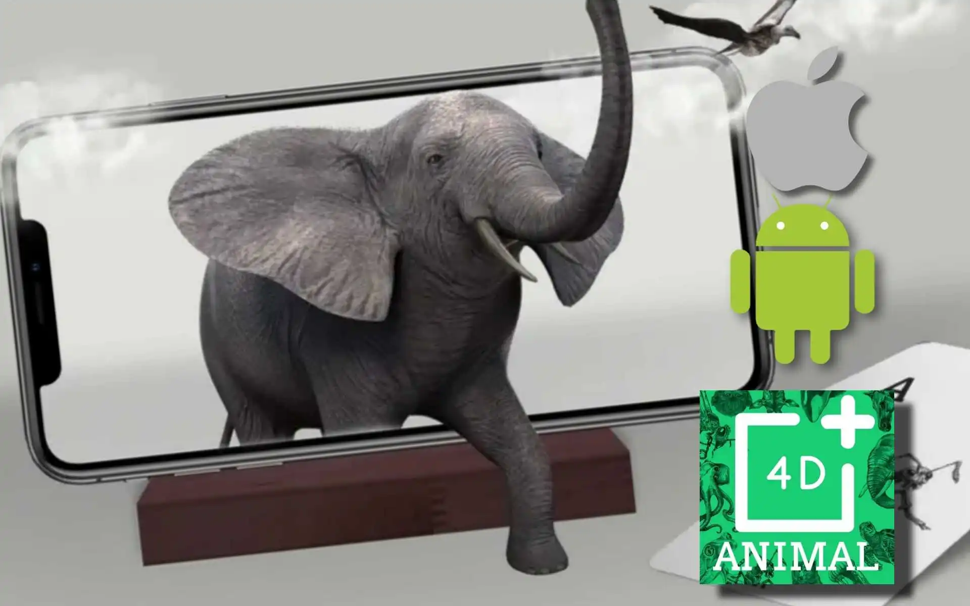 تحميل تطبيق Animal 4D: لإظهار الحيوانات بتقنية الواقع المعزز